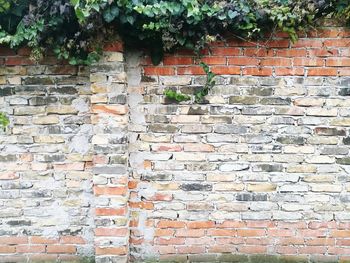 Close-up of ivy on brick wall