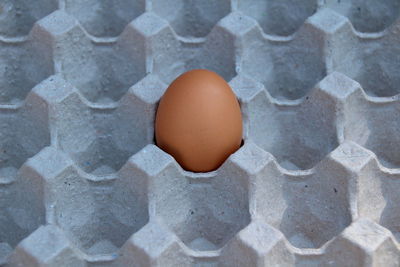 Close-up of egg 