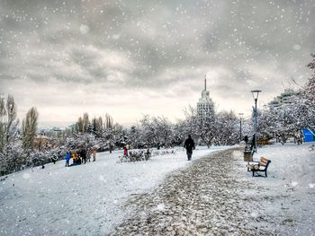 Trees on snow covered city against sky
