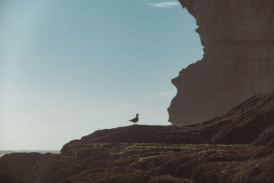 Rock formations on sea against sky