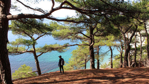 Rear view of man standing amidst trees