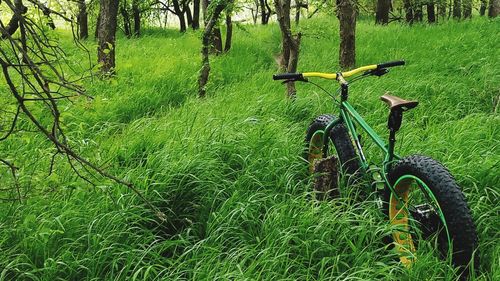 Bicycle on grassy field