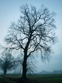 Silhouette bare tree on field against sky