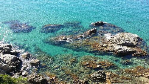 High angle view of rocks in sea