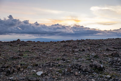 Scenic view of field against sky during sunset