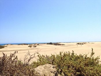 Scenic view of beach against clear blue sky