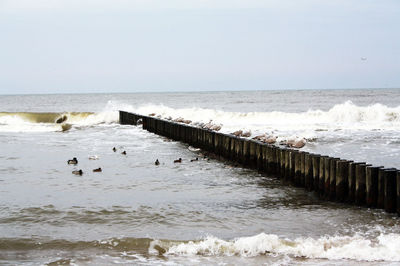 Scenic view of sea against clear sky