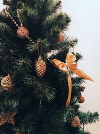 Close-up of christmas tree