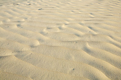 Full frame shot of sand dune