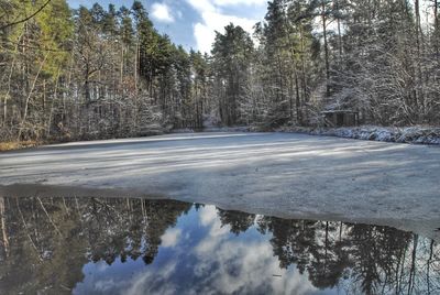 Scenic view of snow covered forest against sky