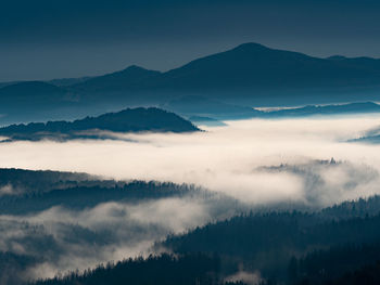 Fairy sunrise in hilly forest landscape in the morning. heavy mislky fog over the majestic forest