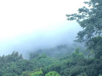 Scenic view of tree mountains against sky