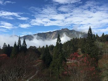 Panoramic view of trees and mountains against sky