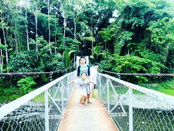 Footbridge in forest