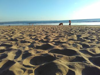 Scenic view of beach against clear sky