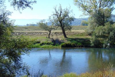 Scenic view of lake amidst field against sky