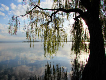 Scenic view of lake and trees against sky