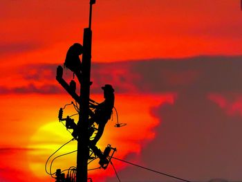 Low angle view of silhouette plant against sky during sunset