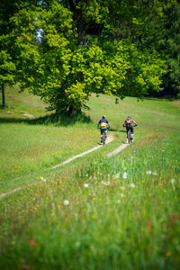 A young woman and a young man riding their mountain bikes on a singletrail near klagenfurt, austria.