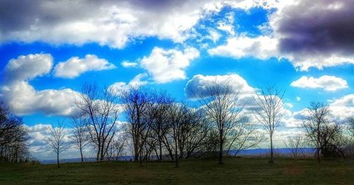 Bare trees on landscape against cloudy sky