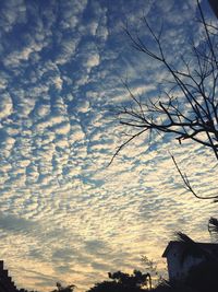 Low angle view of bare trees against cloudy sky