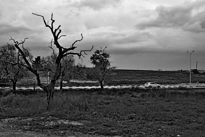 Bare trees on field against sky
