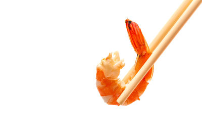 High angle view of orange leaf on white background