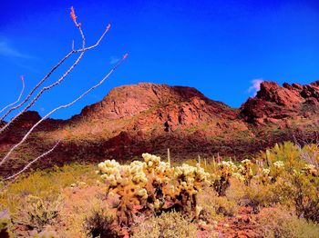 Scenic view of landscape against clear blue sky