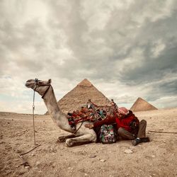 Clothes drying in a desert