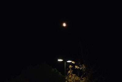 Low angle view of illuminated tree against sky at night
