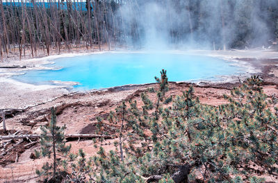 Panoramic shot of trees on landscape