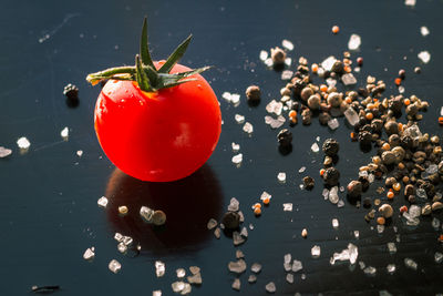 Tomato and species on a black wooden background. colors of food