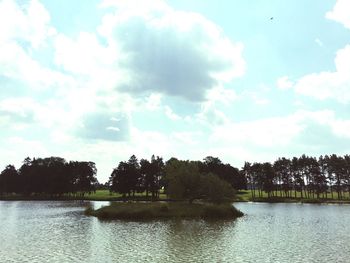 Reflection of trees in calm lake