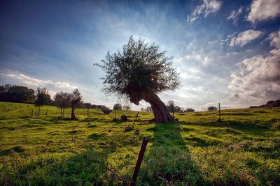 Scenic view of grassy field against cloudy sky