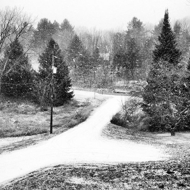 ROAD PASSING THROUGH LANDSCAPE