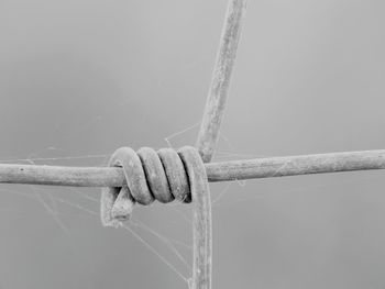 Close-up of string
