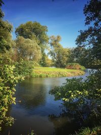 Scenic view of lake in forest against sky