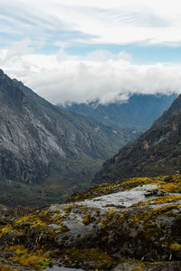 Valley in the panoramic mountain landscapes of rwenzori mountains, uganda