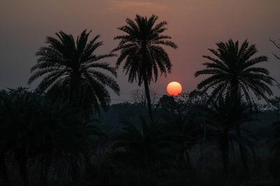 Sunset mood in rural india