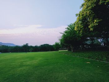 Scenic view of trees on field against sky