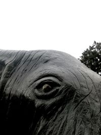 Close-up of statue against clear sky