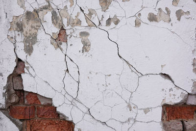 wall