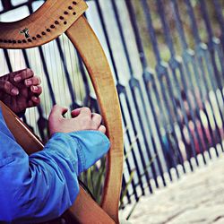 Cropped man playing the harp