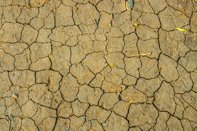 Full frame shot of cracked land