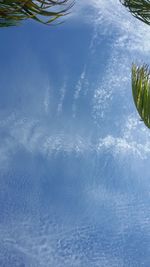 Scenic view of blue sky