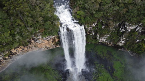 Scenic view of waterfall in forest