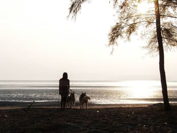Rear view of woman with dogs at beach against clear sky