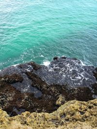 High angle view of rocks on shore