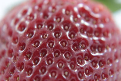 Close-up of red chili pepper