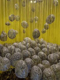 A large amount of circular art hanging from a string